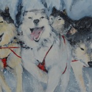 Balade en traineau à chien par Sylvia Audet