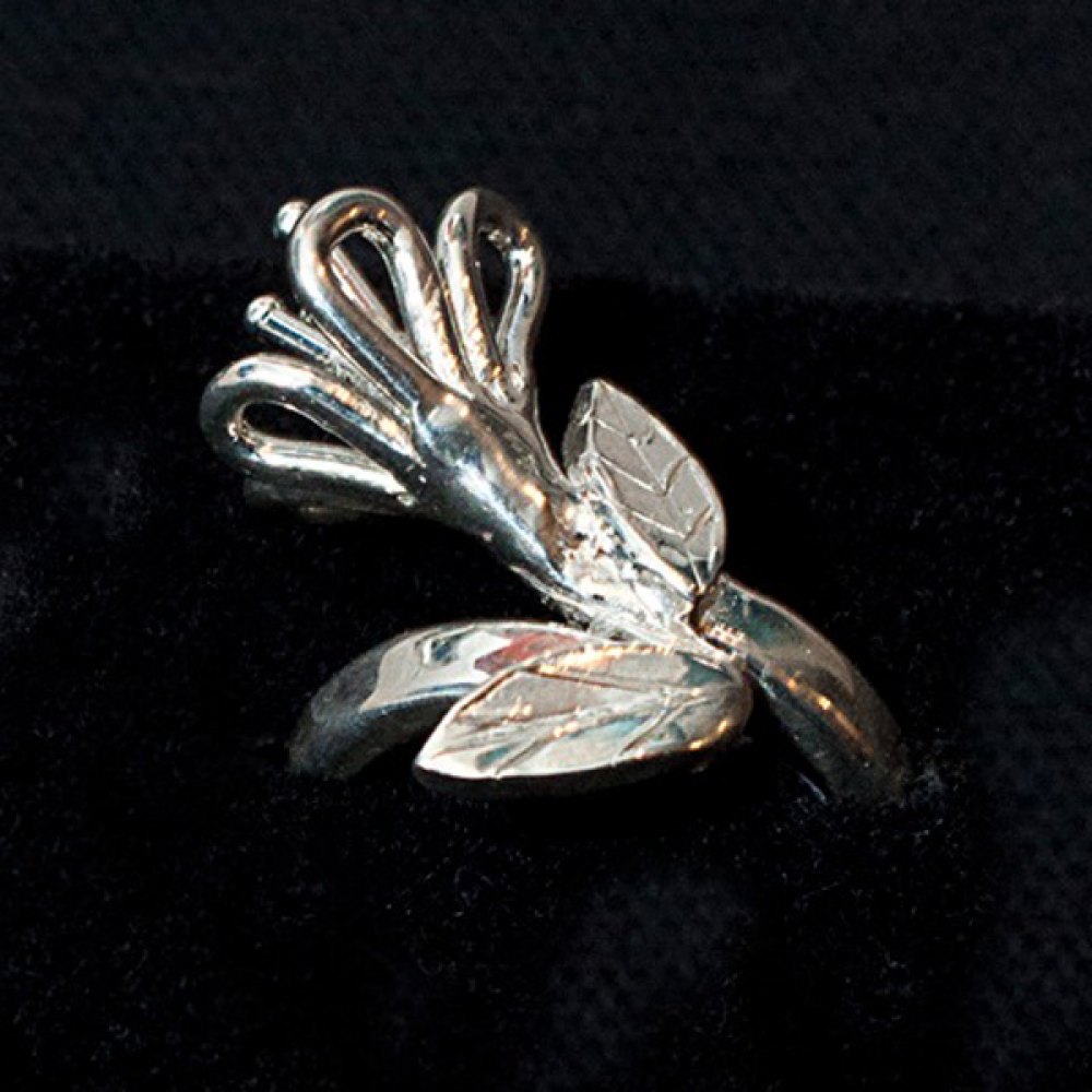 Lumiere et jardins, bague sterling